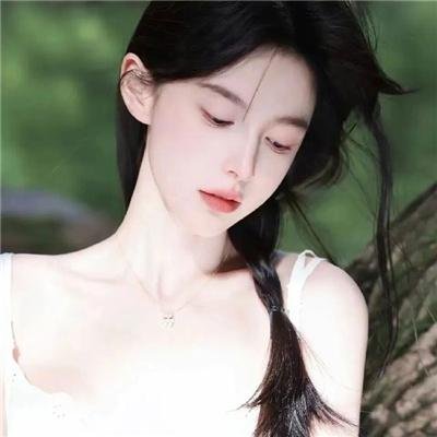 灰熊传说